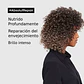 Shampoo Serie Expert Absolut Repair  - Miniatura 4