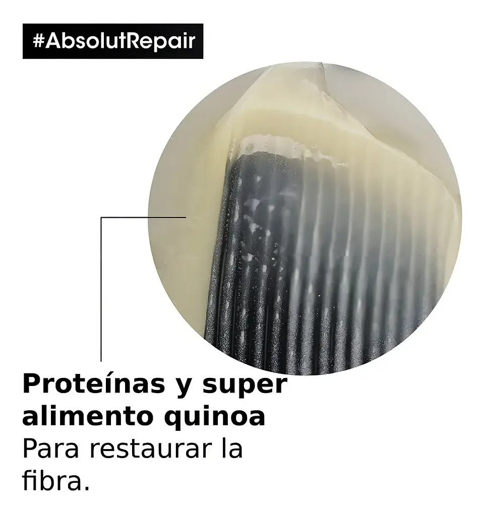 Shampoo Serie Expert Absolut Repair  6