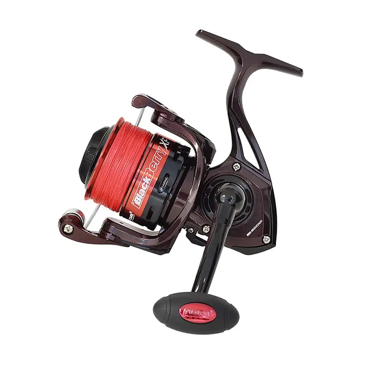 Pioneer Black Berry XF 4000 Con multifilamento  1