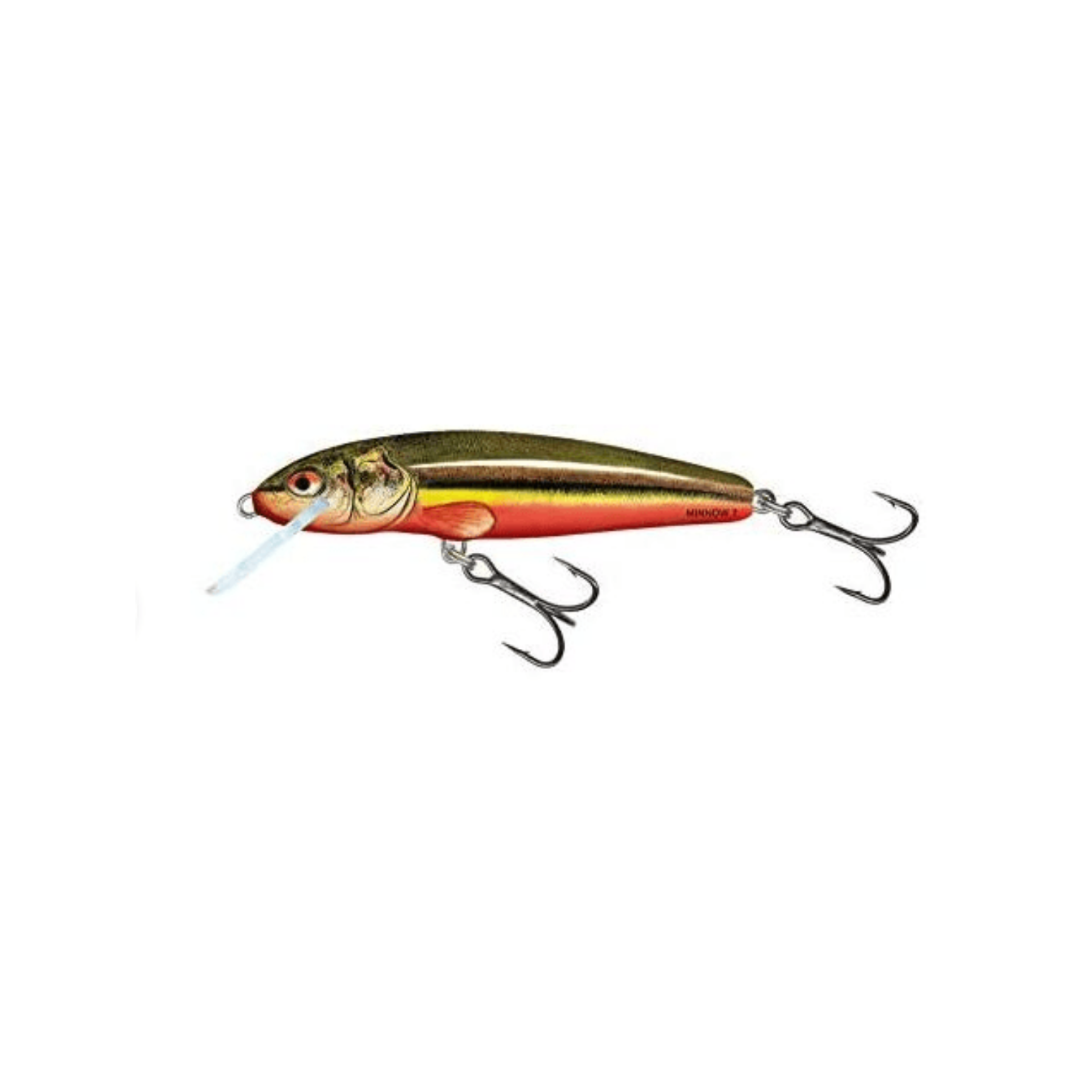 Salmo Minnow 5 Sinking