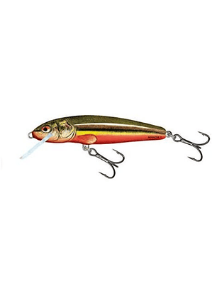 Salmo Minnow 5 Sinking