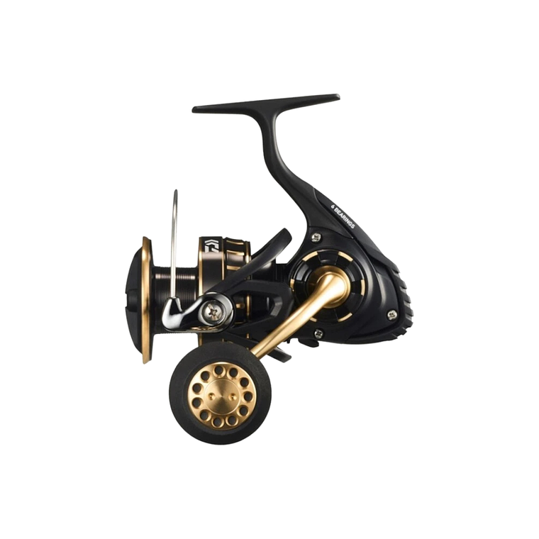 Daiwa BG SW 4000D-CXH 1