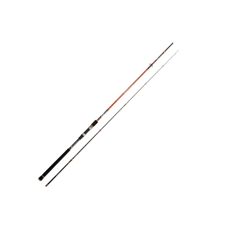 Caña Cinnetic Rextail Sea bass 300 20-80g 1