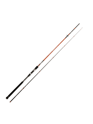 Caña Cinnetic Rextail Sea bass 300 20-80g