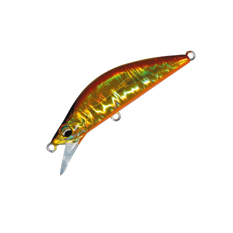 Major Craft Eden 60H 2