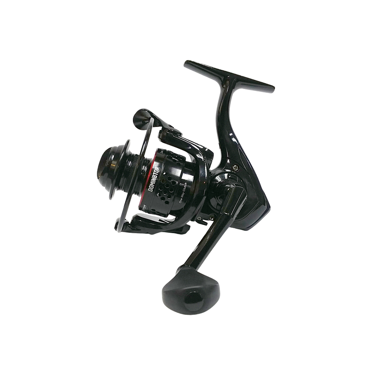 Pioneer Domin8tor DM-1000 1