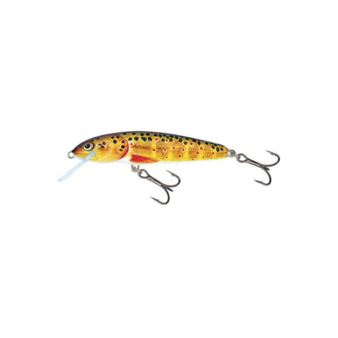 Salmo Minnow 9 Sinking