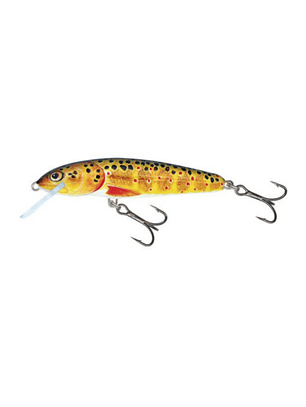Salmo Minnow 9 Sinking