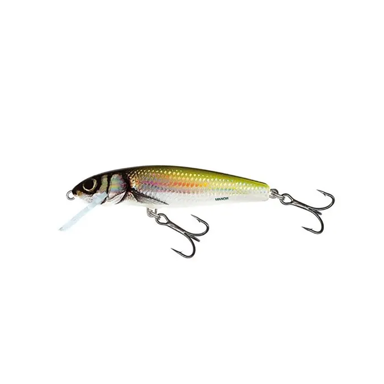 Salmo Minnow 9 Sinking 8