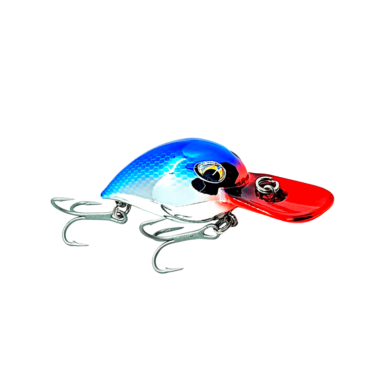 Ragot Potxa Chinook 2