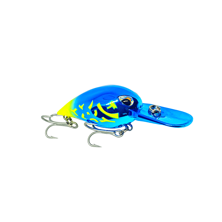 Ragot Potxa Chinook 1