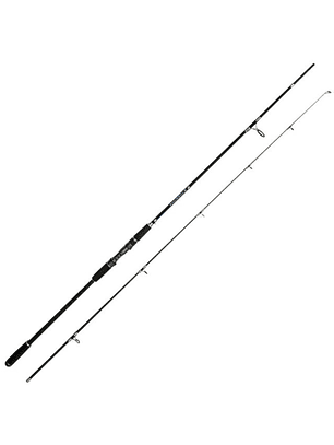 Caña Rapala Rocksole 2.70m 30-80g