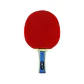 Paleta Ping Pong Premium Clasica 3 Estrellas Uk time - Miniatura 1