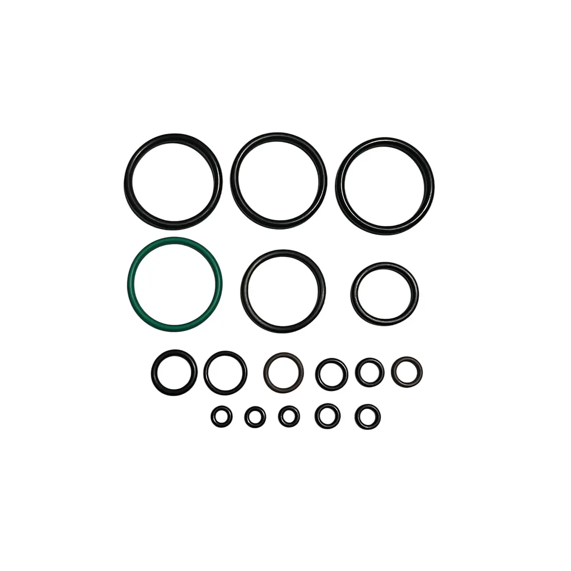 Set O'Rings para PR900 1