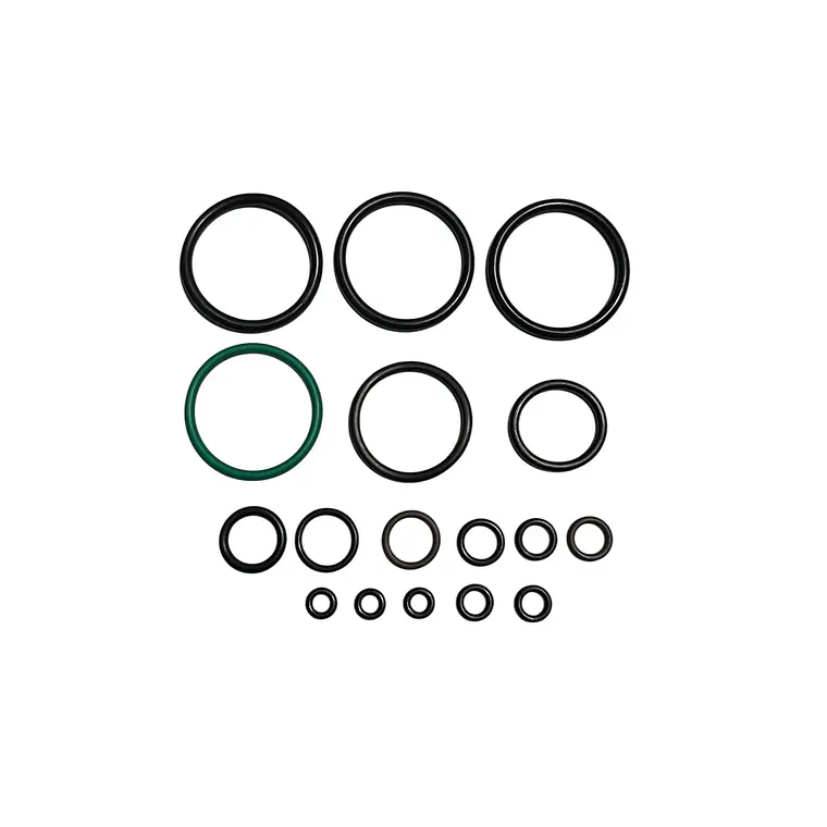 Set O'Rings para PR900 1