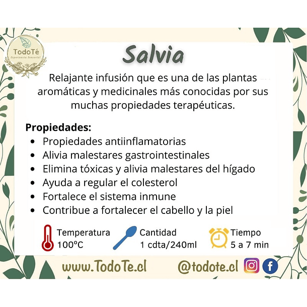 Salvia 3