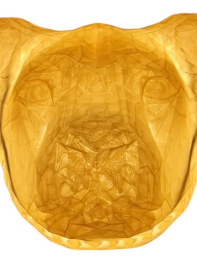 Lámpara De Pared León Con Melena Iluminada 2