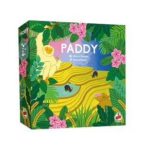 Paddy