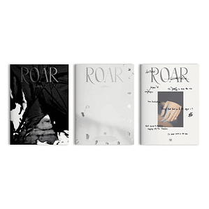 THE BOYZ - ROAR  BE AWAKE