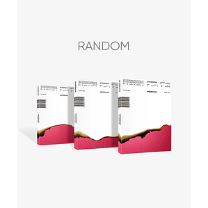 LE SSERAFIM - [UNFORGIVEN] 