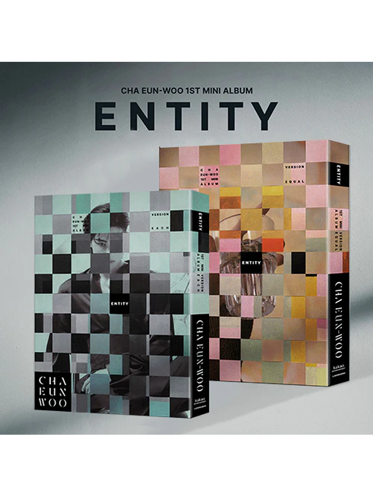 CHA EUN WOO - [ ENTITY ] 1