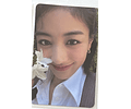 TWICE - [ JIHYO PHOTOCARD ]