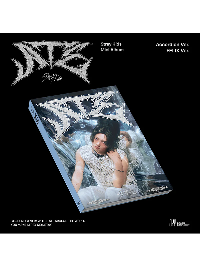 STRAY KIDS - [ ACCORDION ATE ]  5