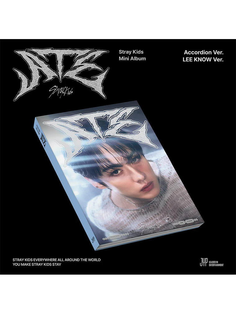 STRAY KIDS - [ ACCORDION ATE ]  9