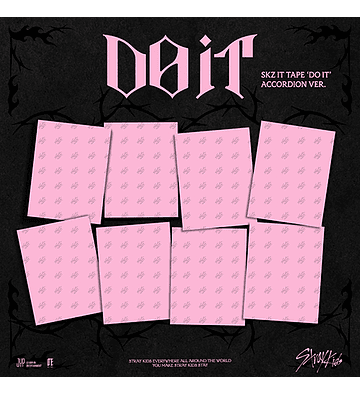 STRAY KIDS - [ IT TAPE ‘DO IT’ ('ACCORDION VER.') + POB MUSICKOREA ]