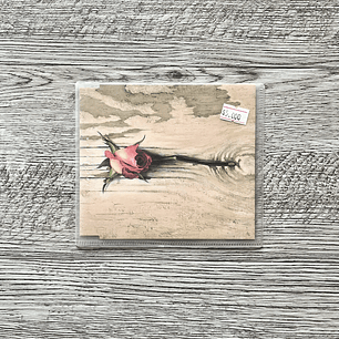 HYDE Evergreen CD Single