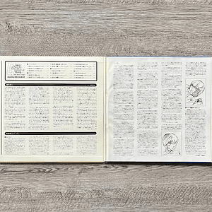 Mobile Suit Gundam Gundam III Amuro Vinilo