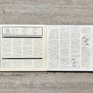 Mobile Suit Gundam Gundam III Amuro Vinilo