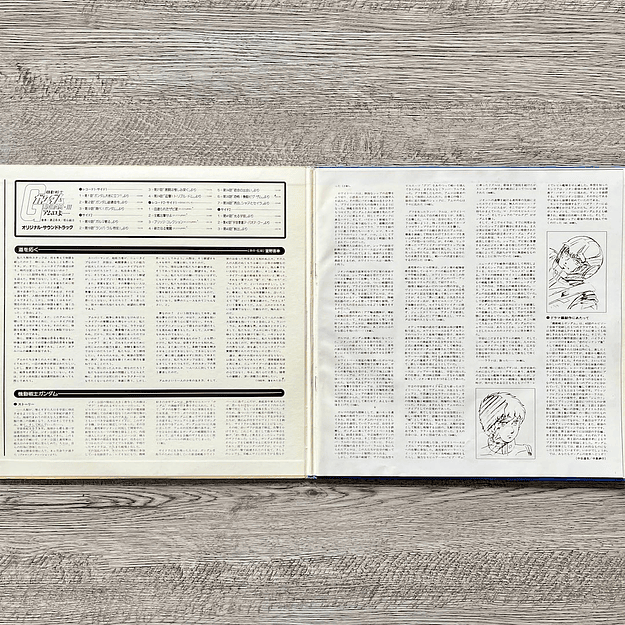 Mobile Suit Gundam Gundam III Amuro Vinilo 2