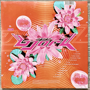 Bjork Post Vinilo