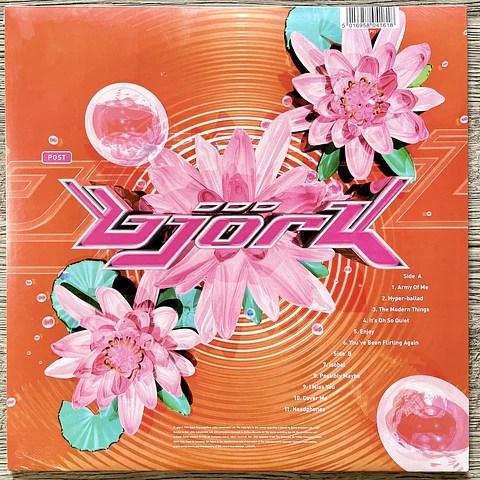 Bjork Post Vinilo