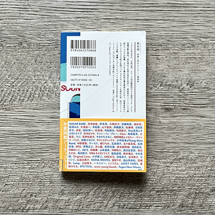 Learn the “basics of city pop” with these 100 pages! (Seikaisha Shinsho) Revista