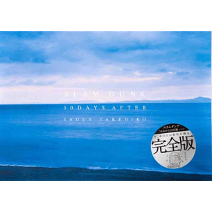 Slam Dunk 10 Days After Libro