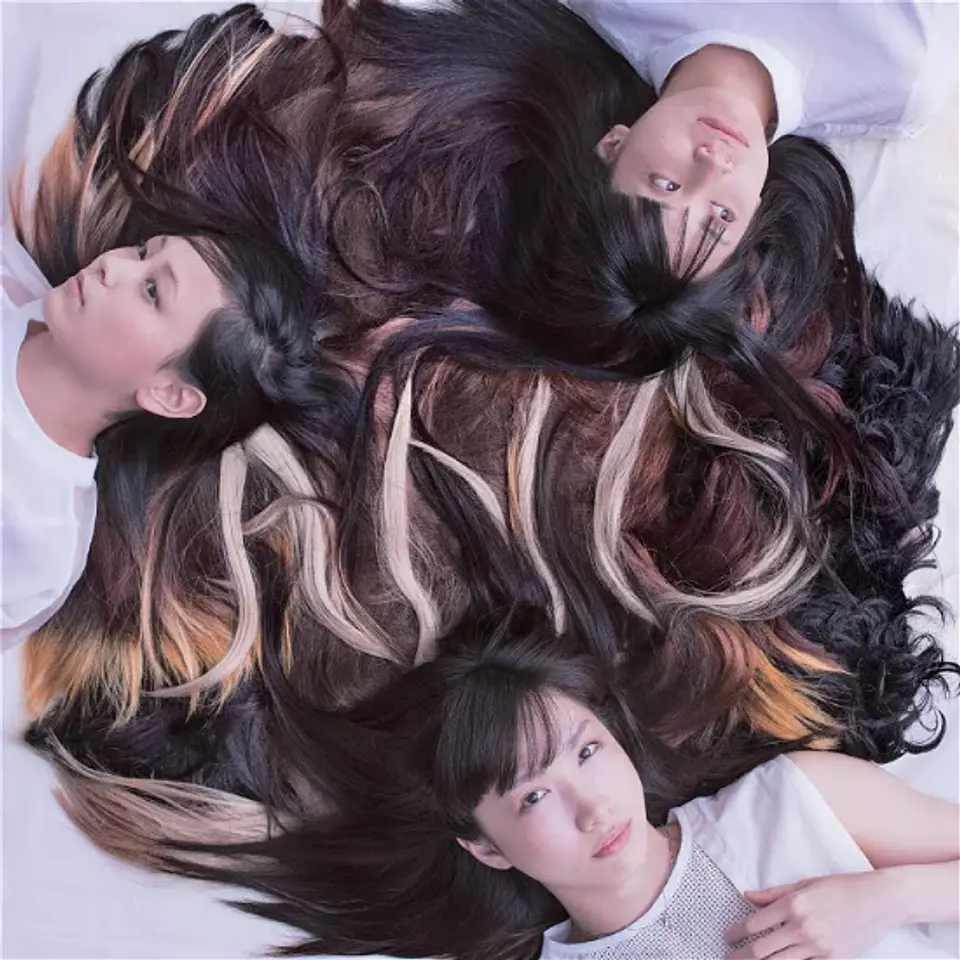 Vinilo Tricot AND LP 1
