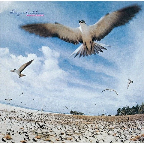Vinilo Masayoshi Takanaka Seychelles Blue Clear LP (PREVENTA)