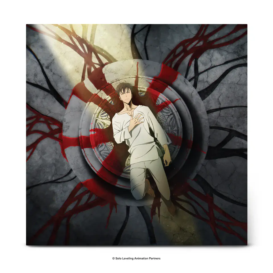 Solo Leveling Original Series Soundtrack Vinilo  6