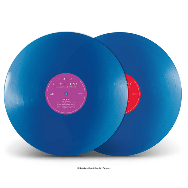 Solo Leveling Original Series Soundtrack Vinilo  8