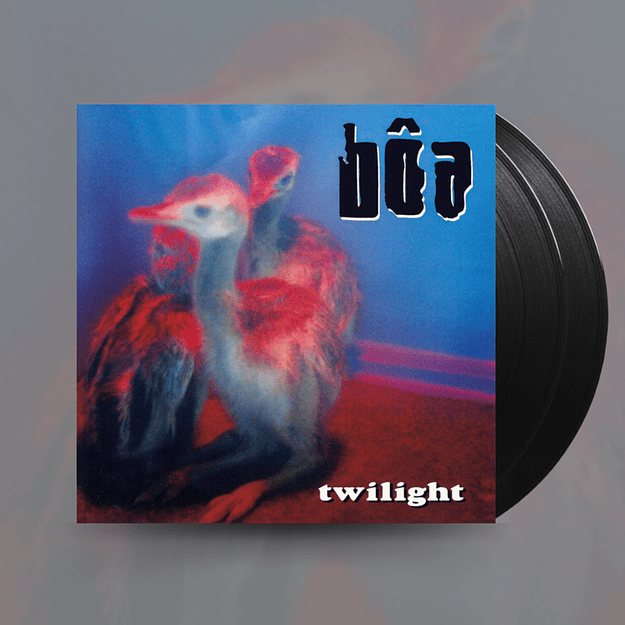 Boa Twilight Duvet LP Vinilo  1