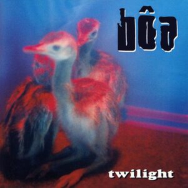 Boa Twilight Duvet CD