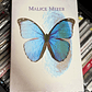 MALICE MIZER Shinwa Kami's Memorial Box CD VHS - Miniatura 1