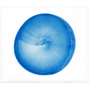 Vinilo Fishmans Kuchu The Best of Fishmans 2LP 