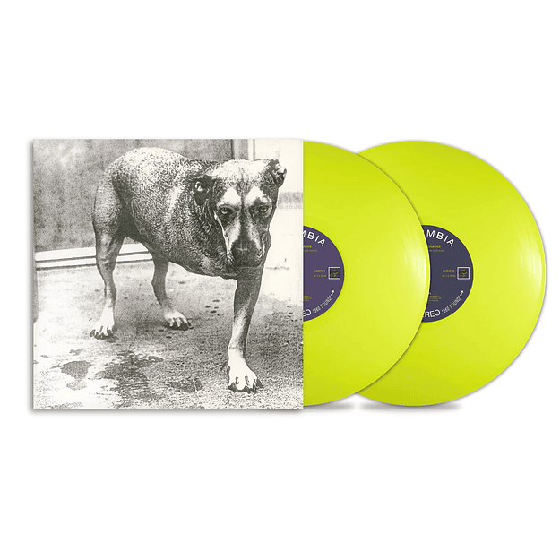 Vinilo Alice In Chains 30Th Anniversary Reissue Color 2LP (PREVENTA) 1