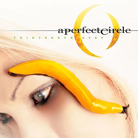 Vinilo A Perfect Circle Thirteenth Step 2LP 