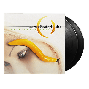 Vinilo A Perfect Circle Thirteenth Step 2LP