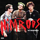 Vinilo Green Day Nimrods Original Soundtrack Indie Exclusive Woodstock Mud 2LP (PREVENTA) - Miniatura 2
