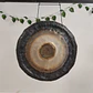 Gong Sinfónico 26